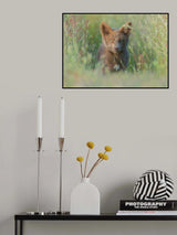 Red Fox Kit Poster och Canvastavla