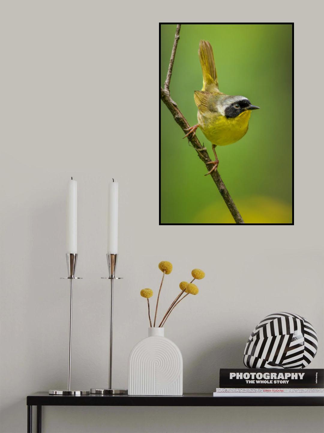 Common Yellowthroat Poster och Canvastavla