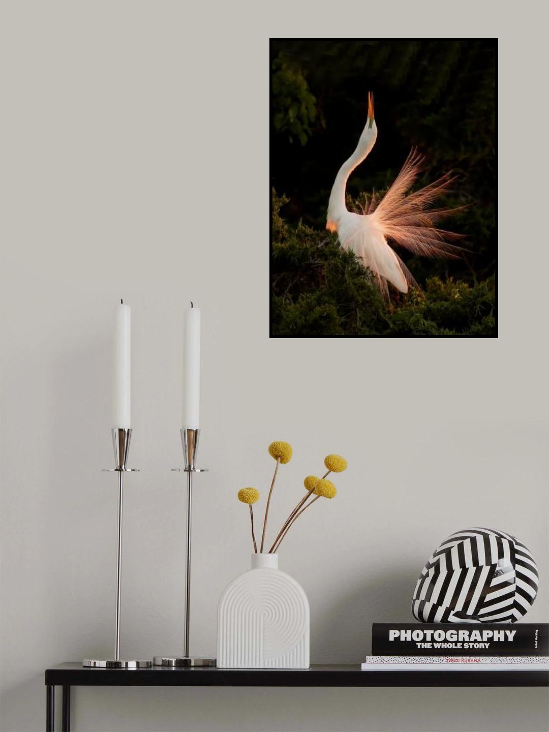 Song of Spring Poster och Canvastavla