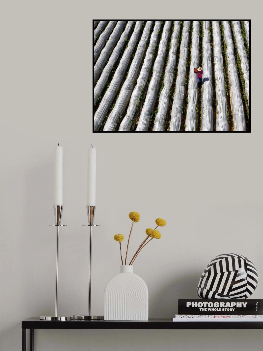 Strawberry Poster och Canvastavla