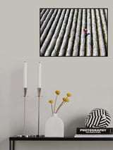 Strawberry Poster och Canvastavla
