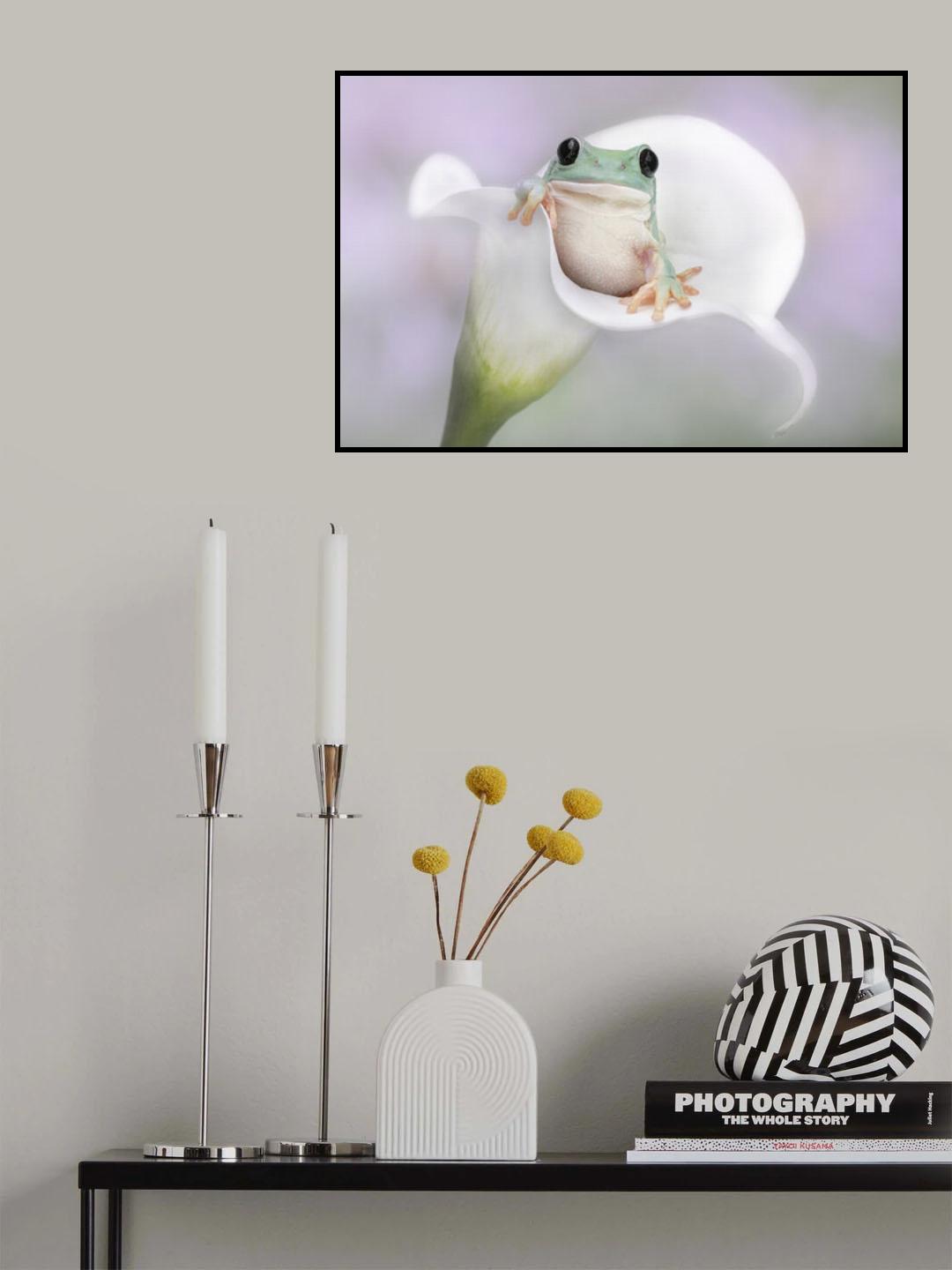 White's Tree Frog on a White Lily Poster och Canvastavla