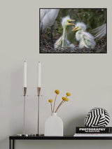 In between Poster och Canvastavla