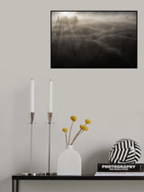 little cypresses Poster och Canvastavla