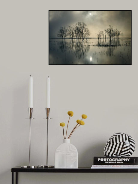 Lake's Secret Poster och Canvastavla