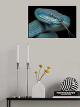 Blue Demon Poster och Canvastavla