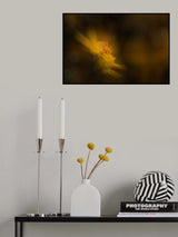 cosmos Poster och Canvastavla
