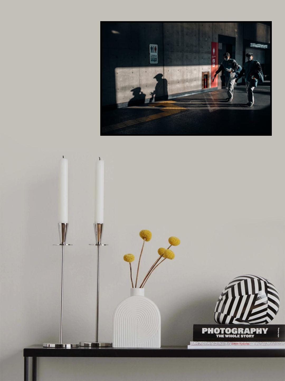 Shadow Poster och Canvastavla