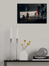 Shadow Poster och Canvastavla