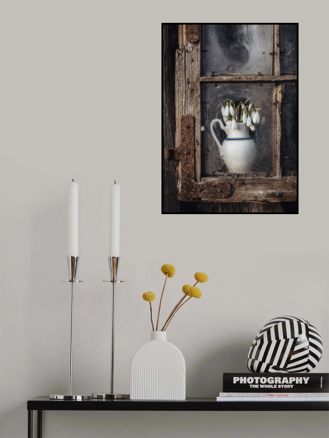 Spring flowers in the window Poster och Canvastavla