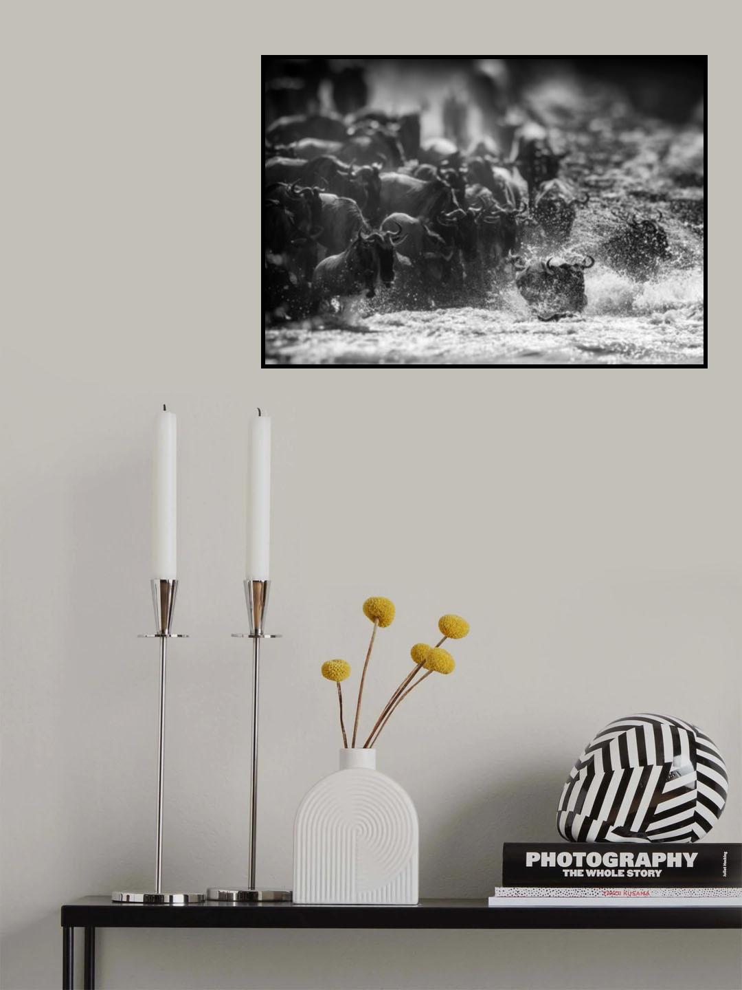 ANARCHY IN MONOCROME Poster och Canvastavla