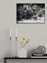 ANARCHY IN MONOCROME Poster och Canvastavla