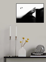 Freedom Poster och Canvastavla