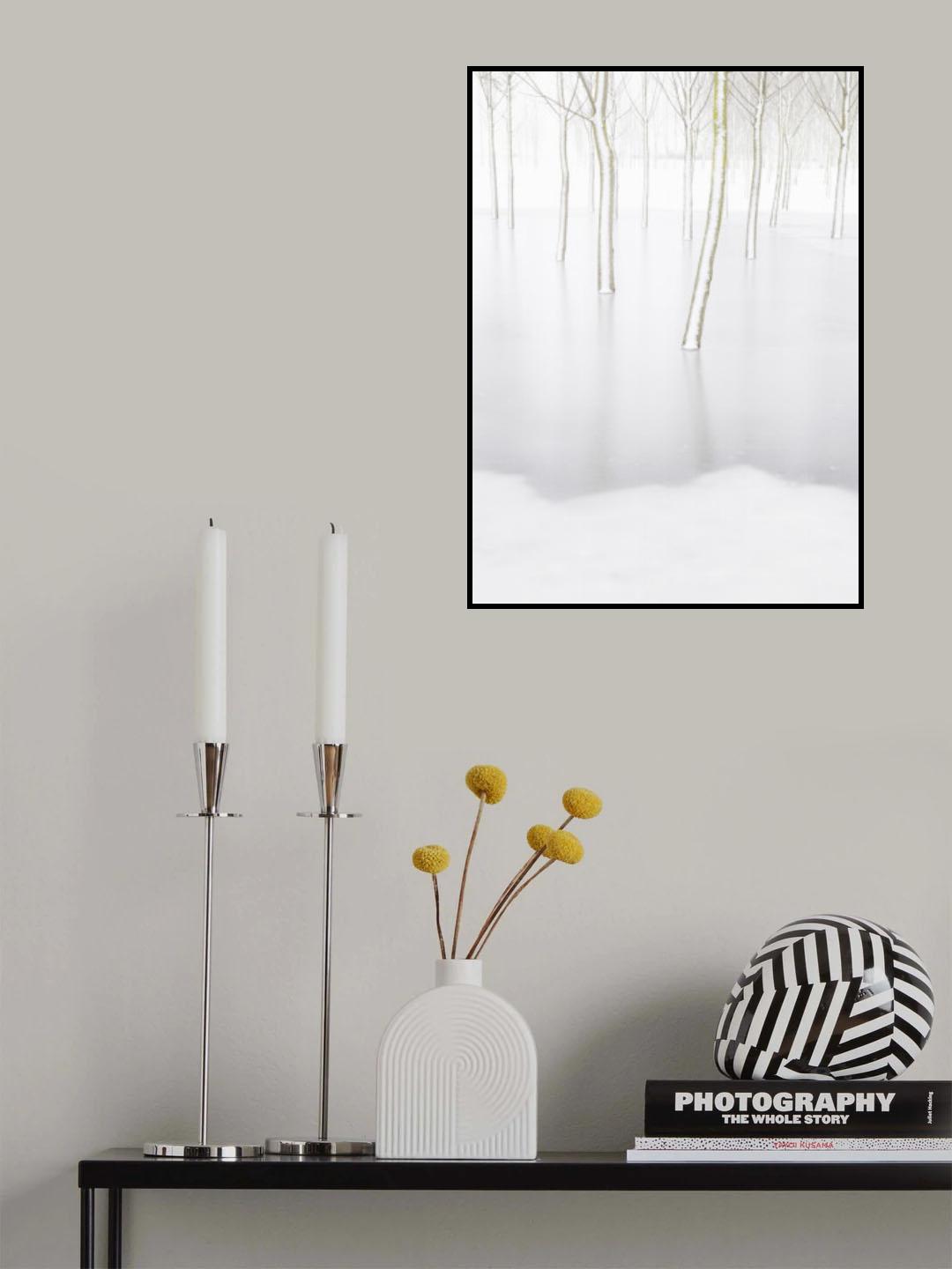 Winter Reflection Poster och Canvastavla