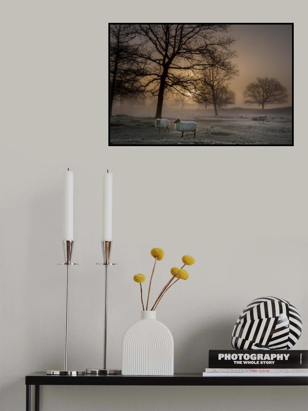 Foggy Morning Poster och Canvastavla