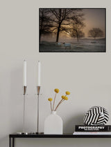 Foggy Morning Poster och Canvastavla