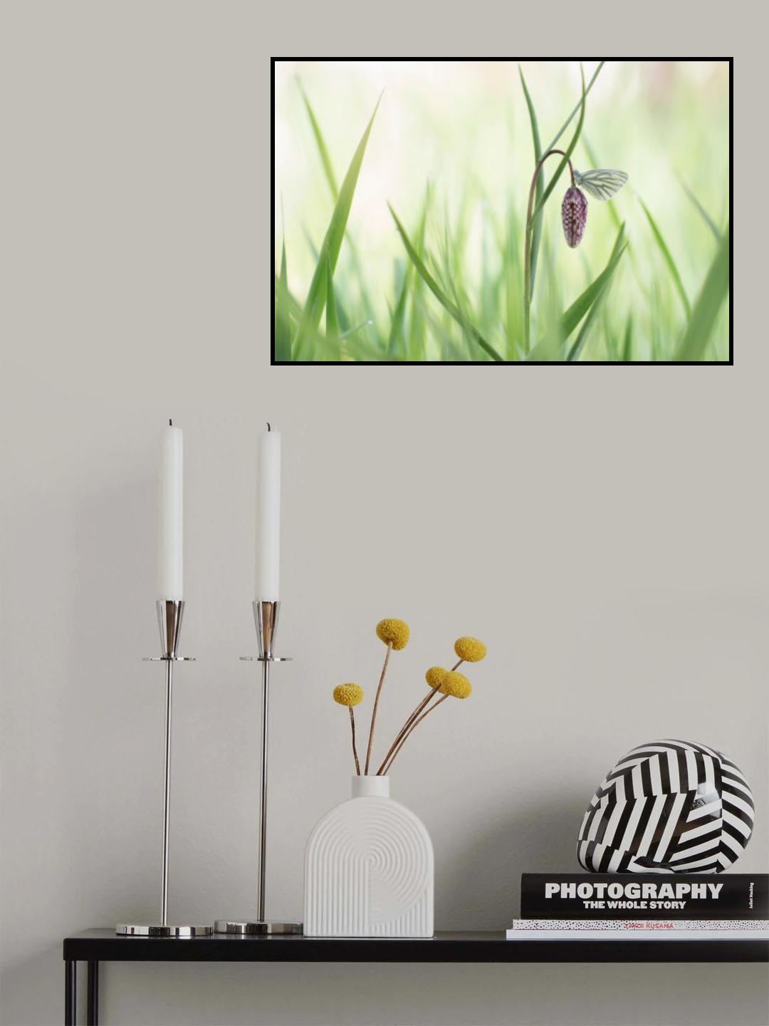 Love it Poster och Canvastavla