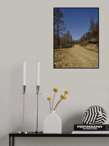 forest and path Poster och Canvastavla