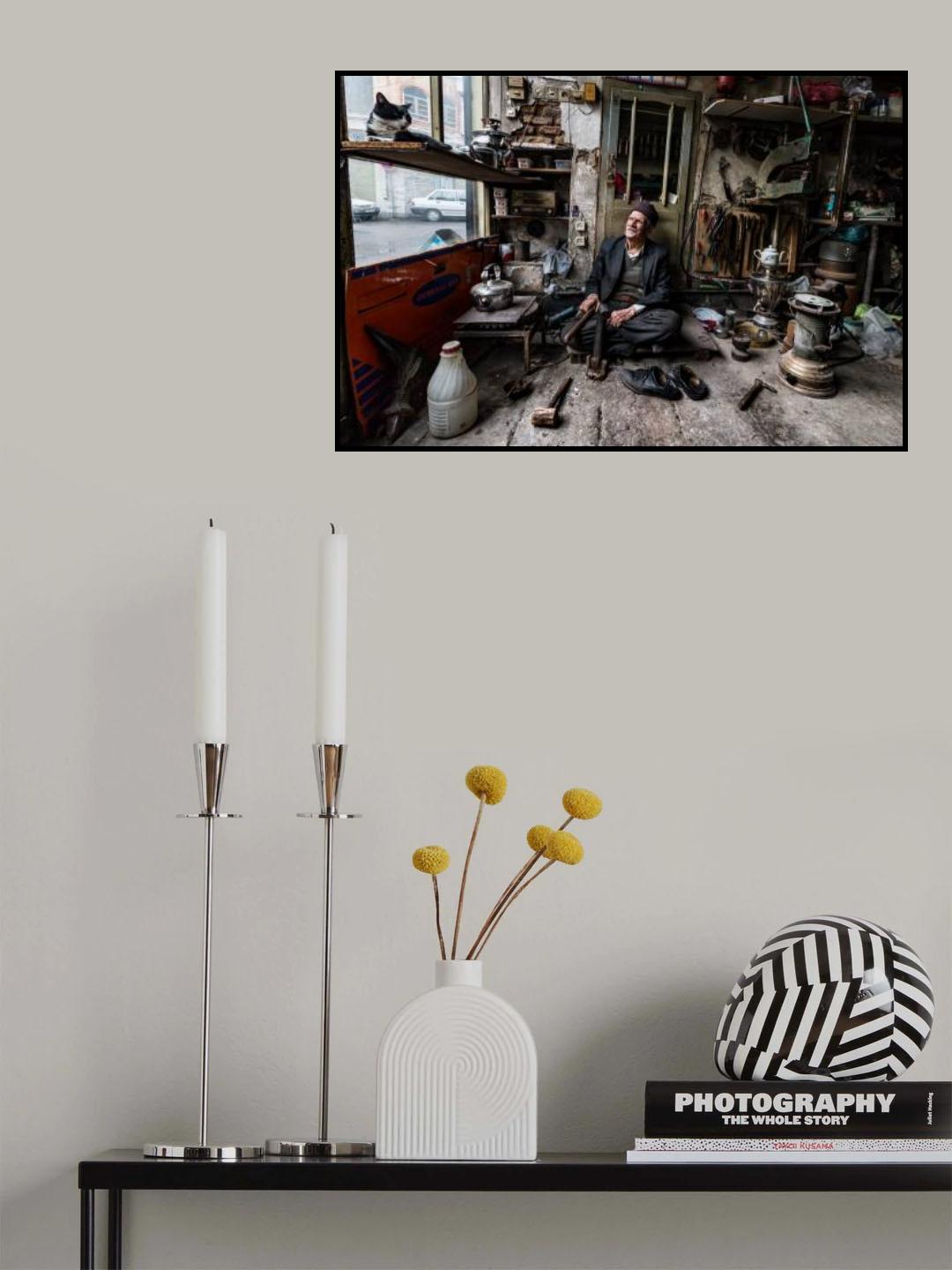 man and cat Poster och Canvastavla