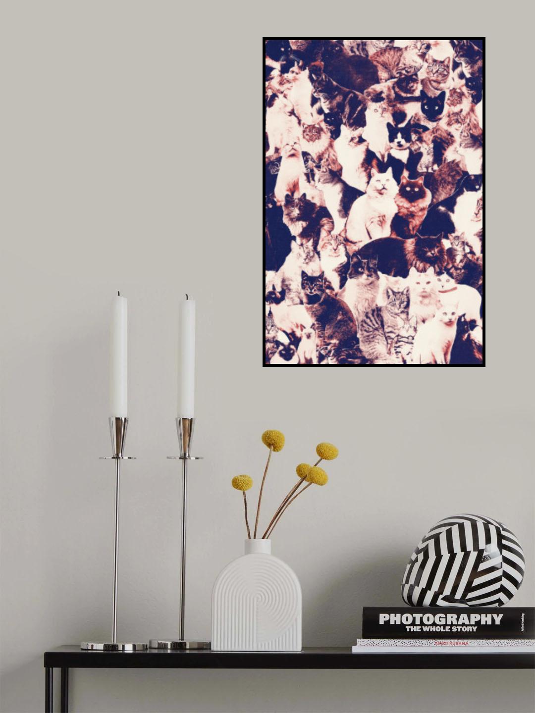 Cats Forever Poster och Canvastavla