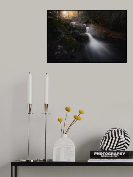 Inside the deep forest Poster och Canvastavla