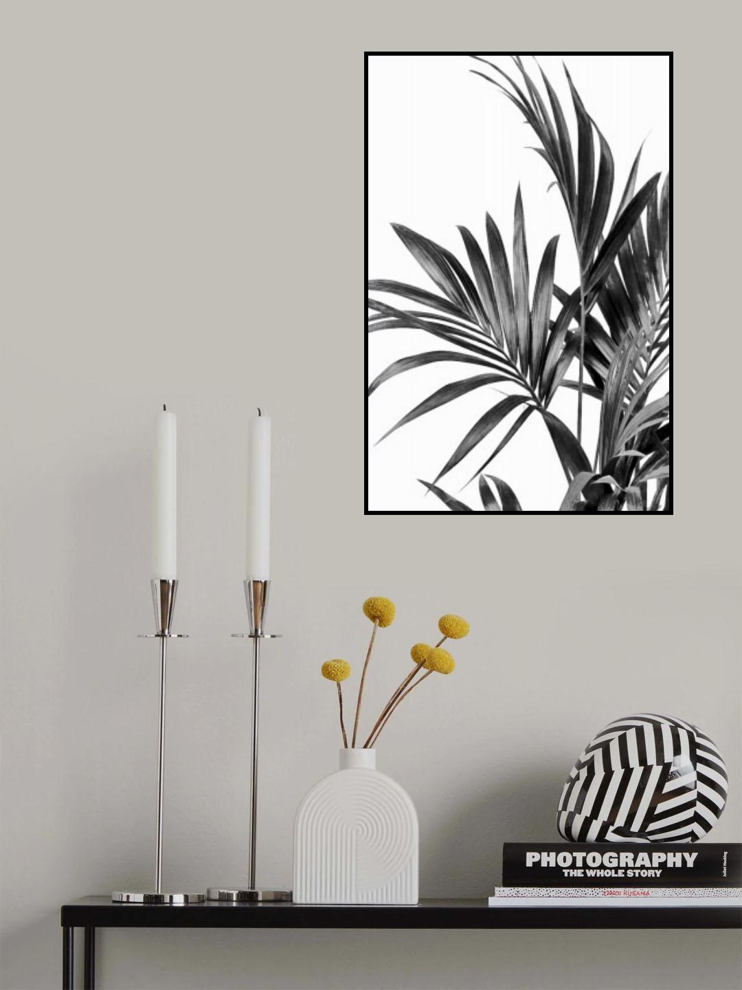 Palm Leaves Black and White 01 Poster och Canvastavla