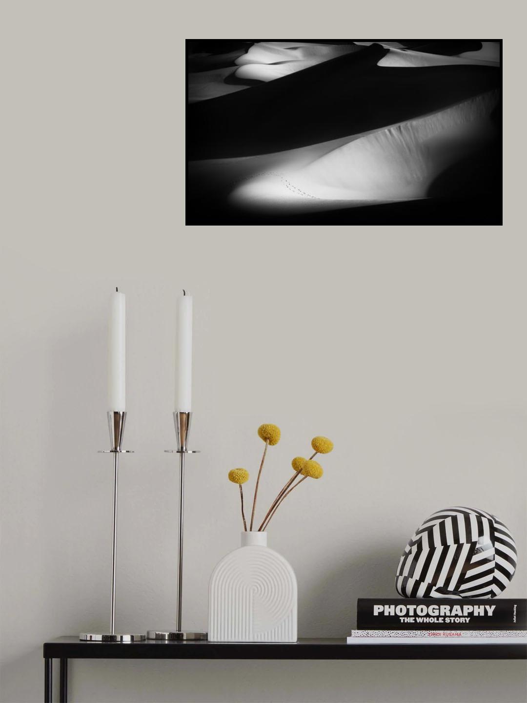 Missing in the desert Poster och Canvastavla