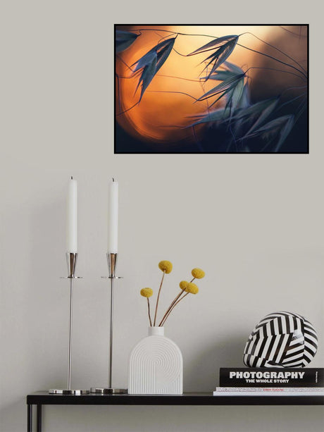 Sunset Poster och Canvastavla