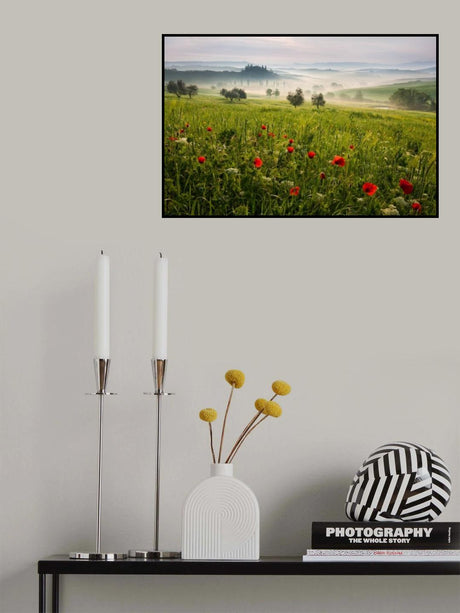 Tuscan spring Poster och Canvastavla