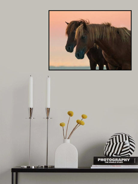 Looking forward Poster och Canvastavla