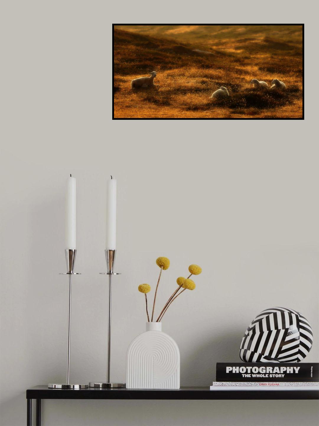Good night stories Poster och Canvastavla