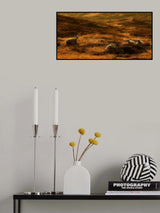 Good night stories Poster och Canvastavla