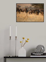 Aware Poster och Canvastavla