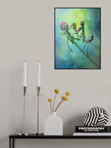Nymph Poster och Canvastavla