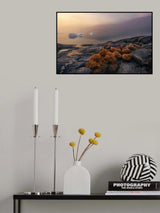 Greenland Flora Poster och Canvastavla