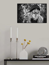 Domokos Poster och Canvastavla