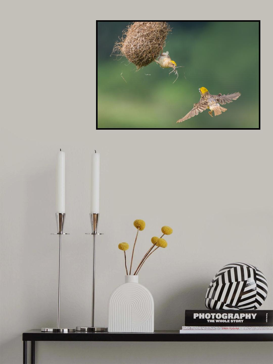 Baya Weaver Poster och Canvastavla
