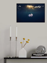 Jelly Poster och Canvastavla