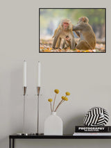 The Monkey Family Poster och Canvastavla