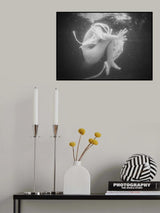 No.75 Poster och Canvastavla