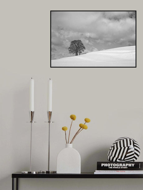 A cloudy winter day Poster och Canvastavla