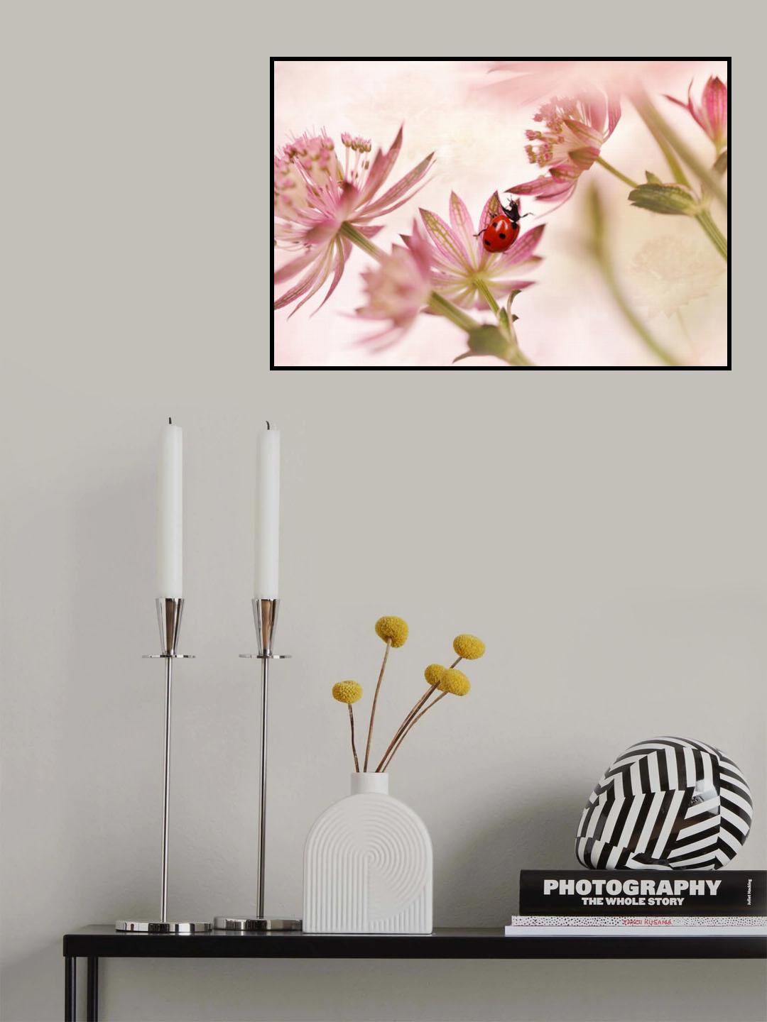 Ladybird and pink flowers Poster och Canvastavla