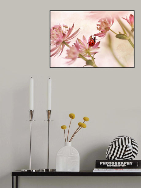 Ladybird and pink flowers Poster och Canvastavla