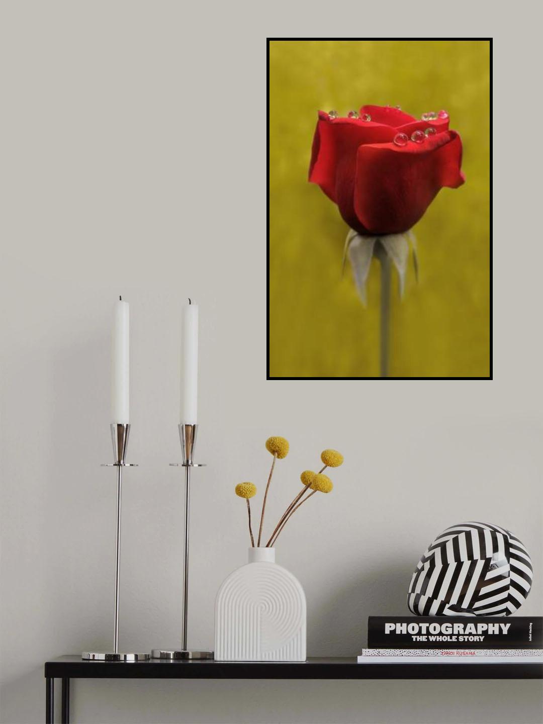 drops Poster och Canvastavla