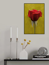 drops Poster och Canvastavla