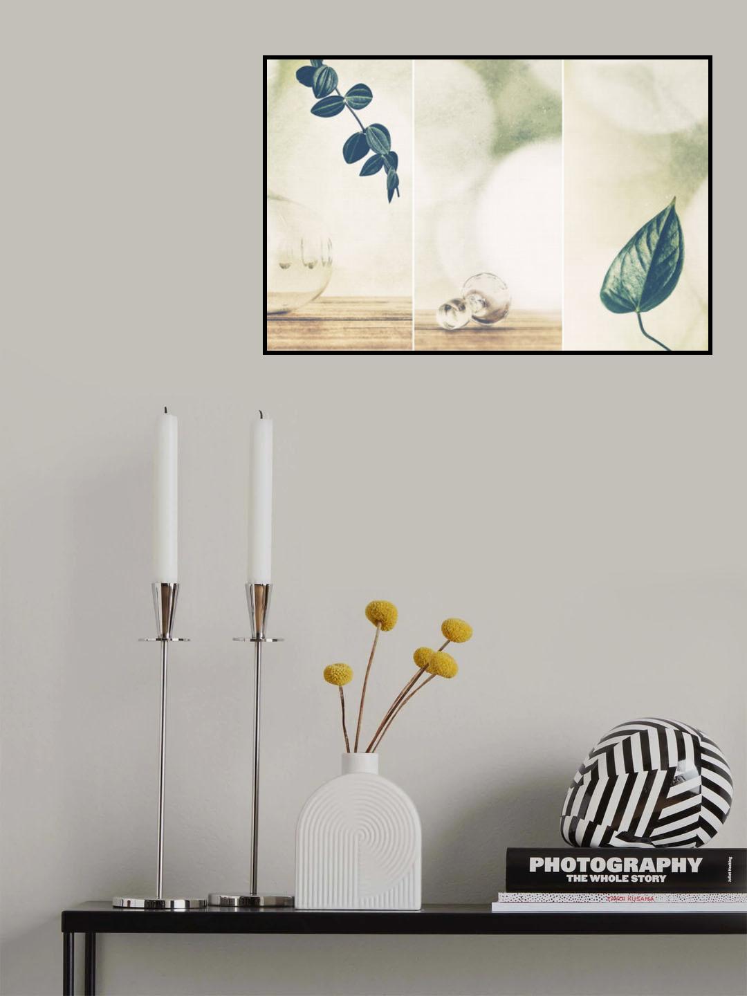 Poster och Canvastavla