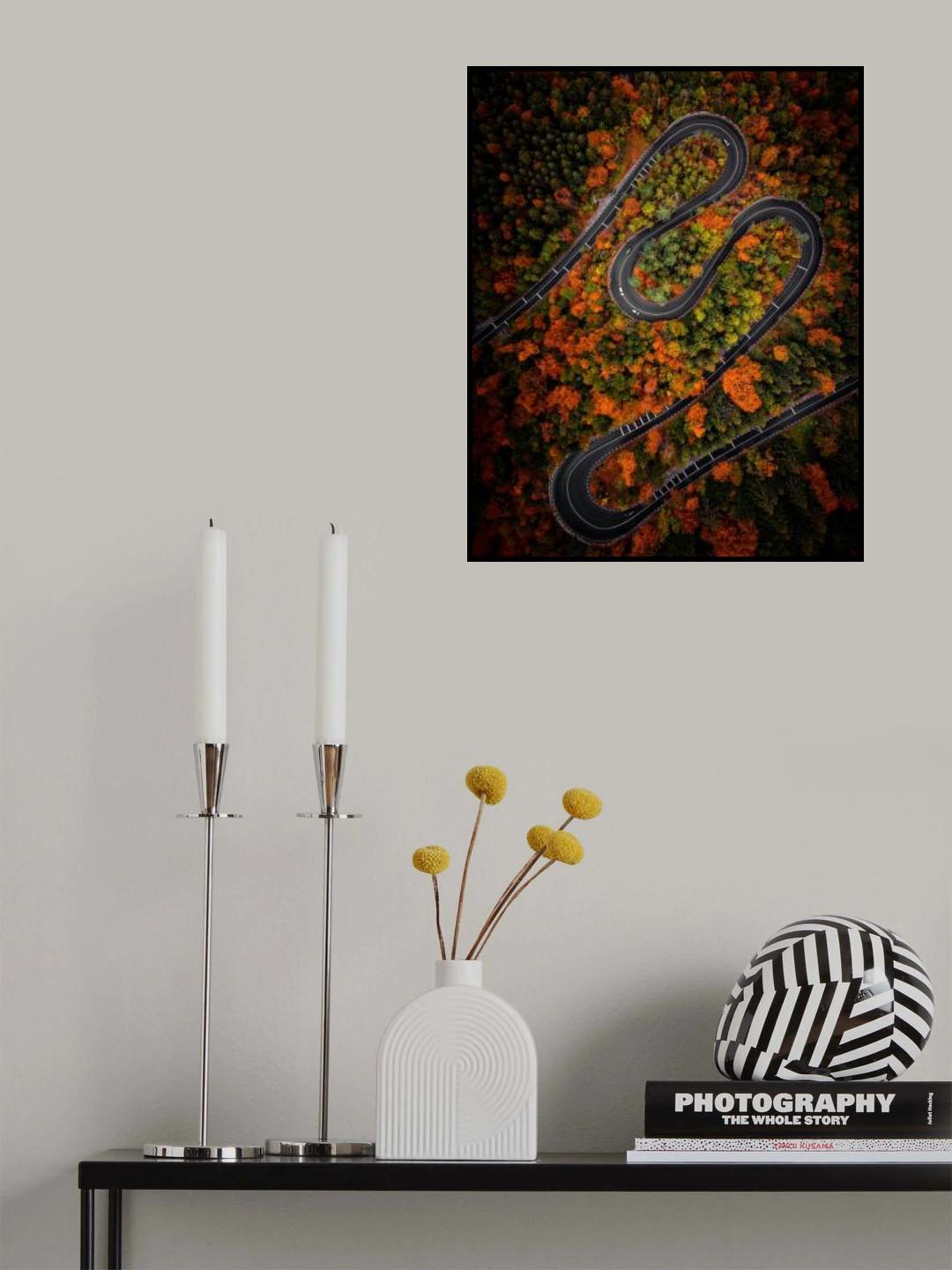 Curves Poster och Canvastavla