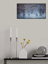 Caddo Lake Poster och Canvastavla