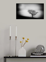 Trees always die standing Poster och Canvastavla