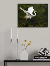 Arriving Poster och Canvastavla